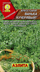 Кресс-салат Ванька-кучерявый