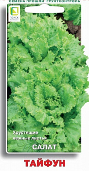 salat_taifun