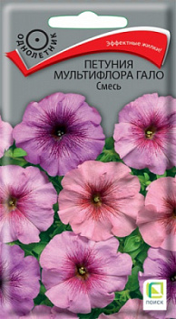petuniya_multiflora_galo_smes
