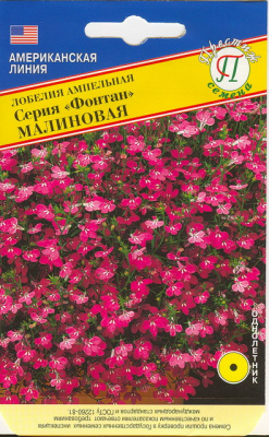 Лобеля малиновая