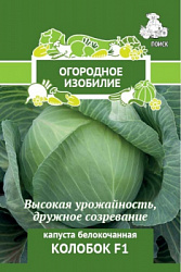 kapusta_belokoch_kolobok_og_izob
