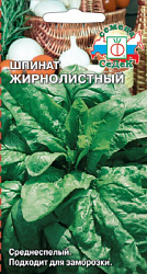 shpinat_zhirnolistnyy