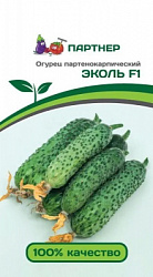 Эколь