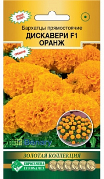 Дискавери оранж