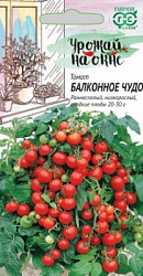 Томат Балконное чудо