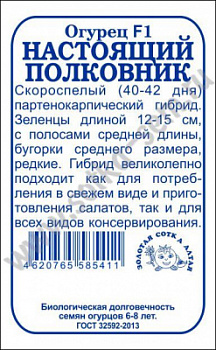 Полковник