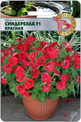 Петуния Синдерелла Красная