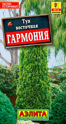 Туя восточная Гармония_ЦП