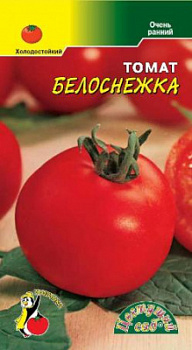 Томат Белоснежка