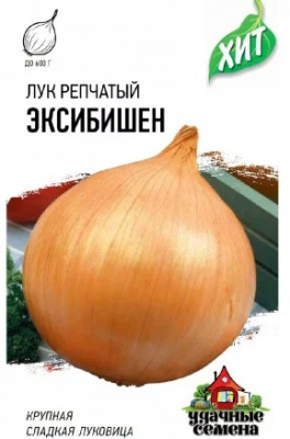 Эксибишен ХИТ