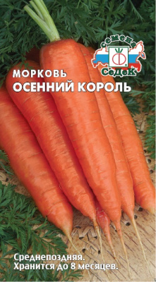 morkov_osenniy_korol