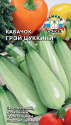 kabachok_grey_tsukkini