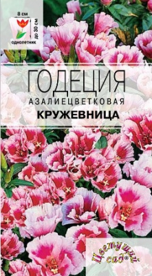 Годеция кружевница