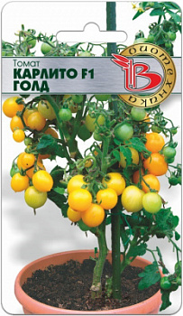 Томат карлито