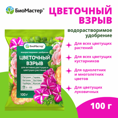 Stranitsa-1