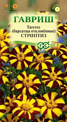 Бархатцы стриптиз