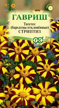 Бархатцы стриптиз