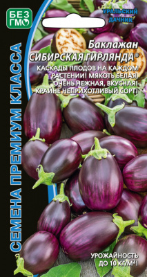 baklazhan-sibirskaya-girlyanda