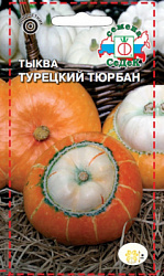 tykva_dekorativnaya_turetskiy_tyurban