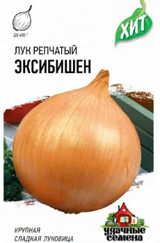Эксибишен ХИТ