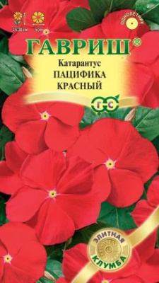 Катарантус Пацифика Красный