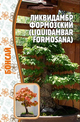 Ликвидамбр