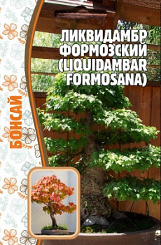 Ликвидамбр