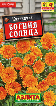 Календула Богиня солнца_ЦП