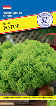 salat_rotor