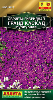 Обриета Гранд каскад пурпурная