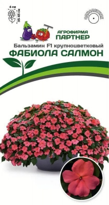 Бальзамин фабиола салмон