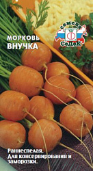 morkov_vnuchka