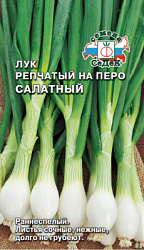 luk_salatnyy