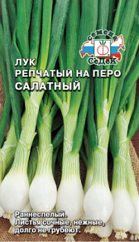 luk_salatnyy