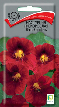 nastrucia_nizkorosl_cherny_trufel