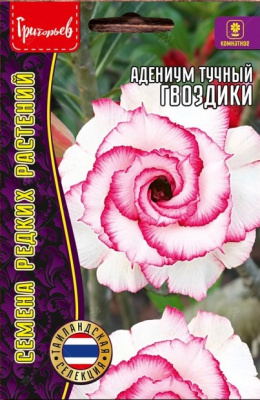 Адениум гвоздики