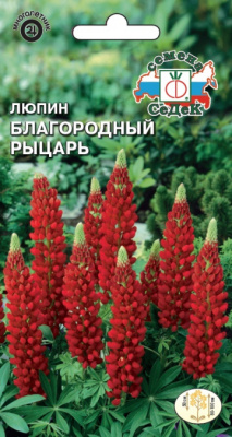 lyupin_blagorodnyy_rytsar
