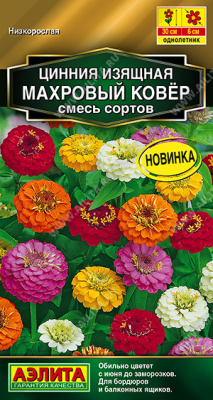 Цинния Махровый ковер, смесь