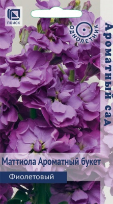 mattiola_aromatniy_buket_fioletoviy