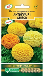 Бархатцы Антигуа смесь