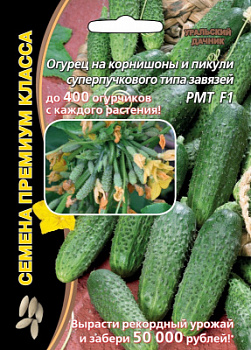 ogurec-na-kornishon-i-pikuli-superpuchkovogo-tipa-zavyazey-rmt-f1
