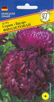 Астра Тауэр Фиолетовая