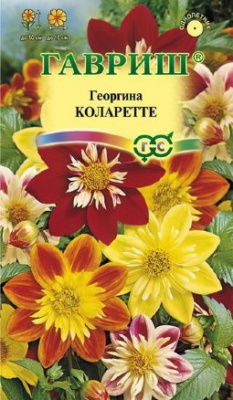 Коларетте