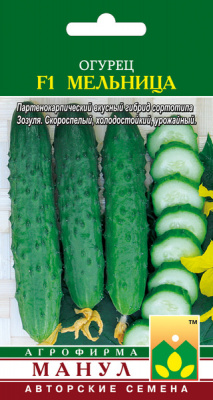 Мельница