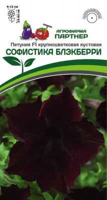 Петуния софистика блэкберри