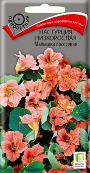 nastrucia_nizkorosl_malyshka_lososevaya