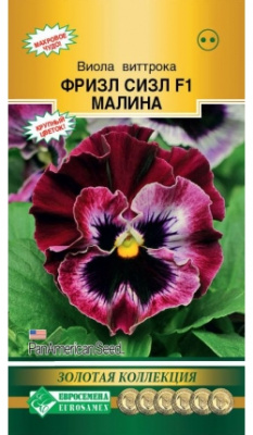 Виола махровая Фризл Сизл