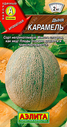 Дыня Карамель