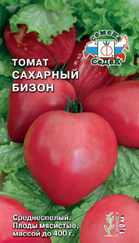 tomat_sakharnyy_bizon