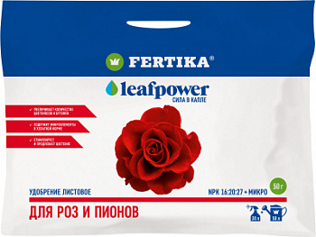 eb7a8afb05ce717c009221d5732185c1 роз